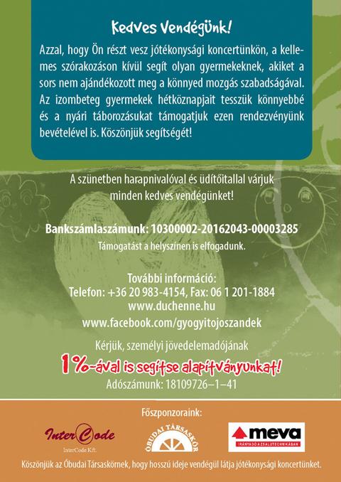 A Gyógyító Jószándék Alapítvány 2014-es jótékonysági koncertje