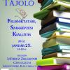 Kistérségi Tájoló