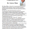 Gyires Tibor