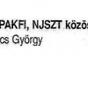 Heckenast Gábor