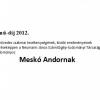 Meskó Andor
