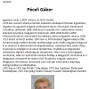 Péceli Gábor