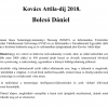 Bolcsó Dániel