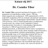 Csendes Tibor