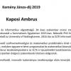 Kaposi Ambrus