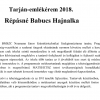 Répásné Babucs Hajnalka