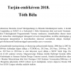 Tóth Béla