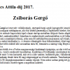 Zsiborás Gergő