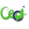 CEOI 2020