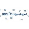 ICDL Profi