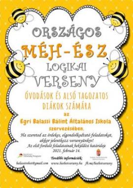4. Országos Méh-Ész Logikai Verseny