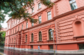 Szabadtéri kiállítás