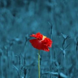 Valóság vagy látszat? A mesterséges intelligencia dilemmája – workshop