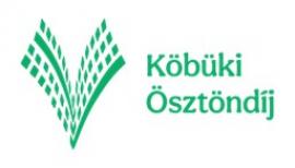 Pályázati felhívás: Köbüki tehetséggondozó tanári ösztöndíj