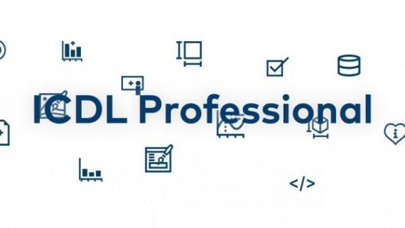 ICDL PROFI
